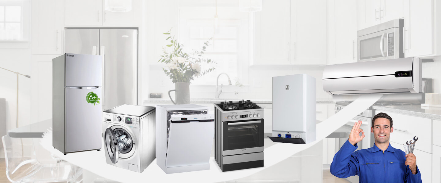 Sivaslı Electrolux Servisi